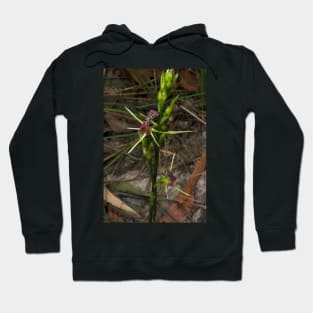 Pair Of Tongue Orchids Hoodie